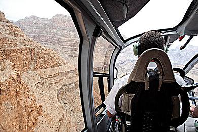 视觉小说+RPG场景探索类游戏《恶灵植物园：梦兆温室》Steam页面上线 2025年发售